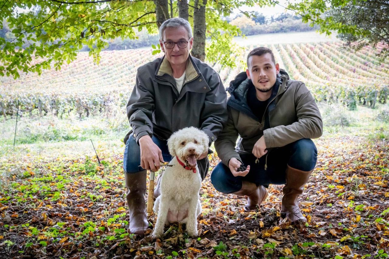 مبيت وإفطار Nantoux Domaine De La Combotte المظهر الخارجي الصورة